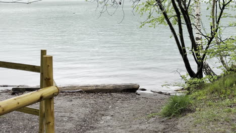 picturesque trail to walensee lake with calm waves meeting shore