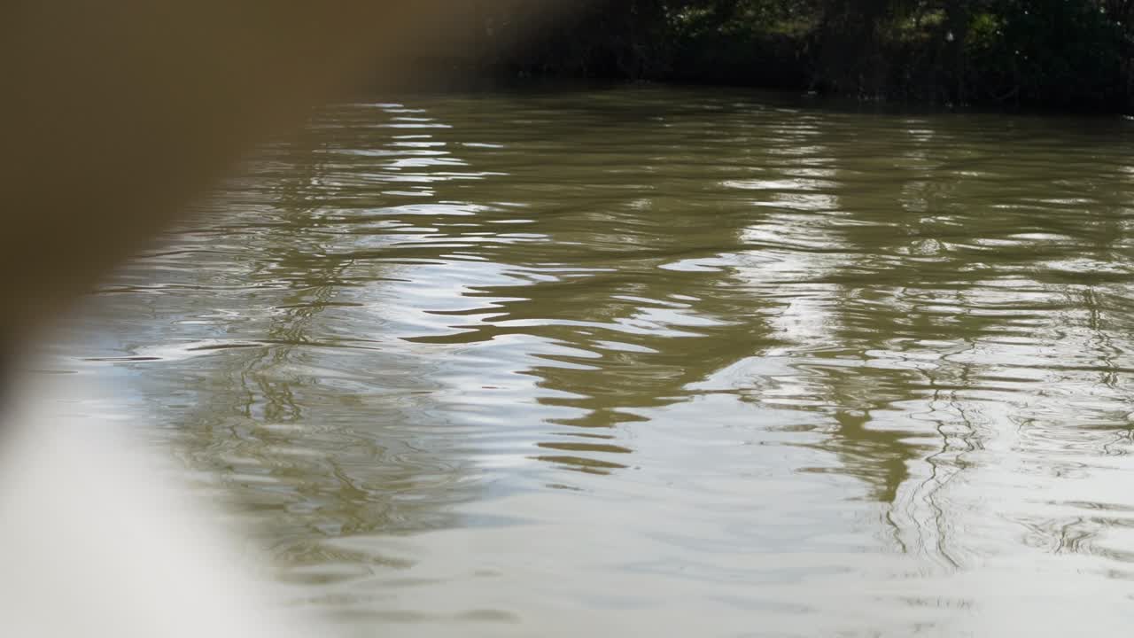 파동이 있는 아름다운 녹색 물 표면, 호수의 표면 물 배경