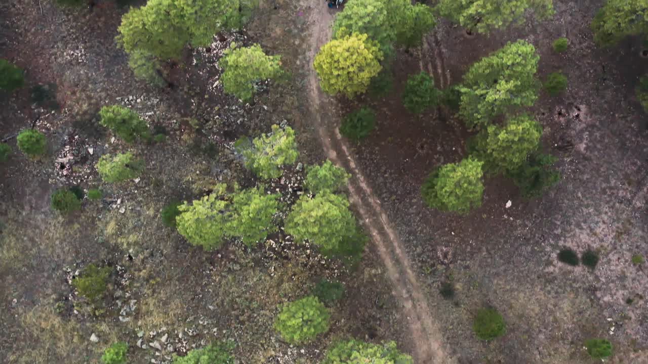 vista de arriba hacia abajo de un camión monovolumen detenido para acampar en el bosque de abetos de alaska