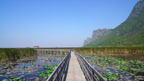 泰國的 sam roy yot 國家公園 (bung bua khao sam rui yot national park) 是泰國最古老的國家公園之一