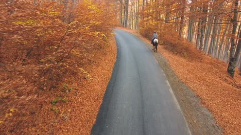 Persona-Montando-Un-Caballo-En-El-Bosque-En-Otoño-Tiro-De-Drone