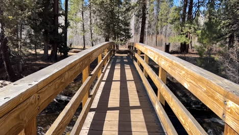 walking on a bridge over a river