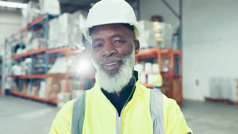 manager, face and businessman smile in warehouse