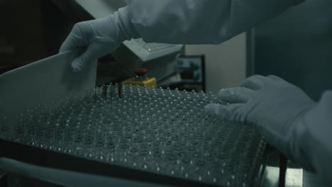 a scientist carries serum fluids in small glass tubes in research analyzing medicinal substances in a modern laboratory