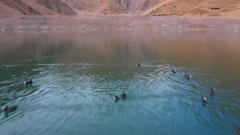 Von-üppigen-Stauseen-Bis-Hin-Zu-Ausgetrockneten-Flussbetten-Zeigt-Diese-Vielfältige-Stock-Footage-Sammlung-Das-Empfindliche-Gleichgewicht-Zwischen-Menschlichen-Bedürfnissen-Und-Wasserschutz