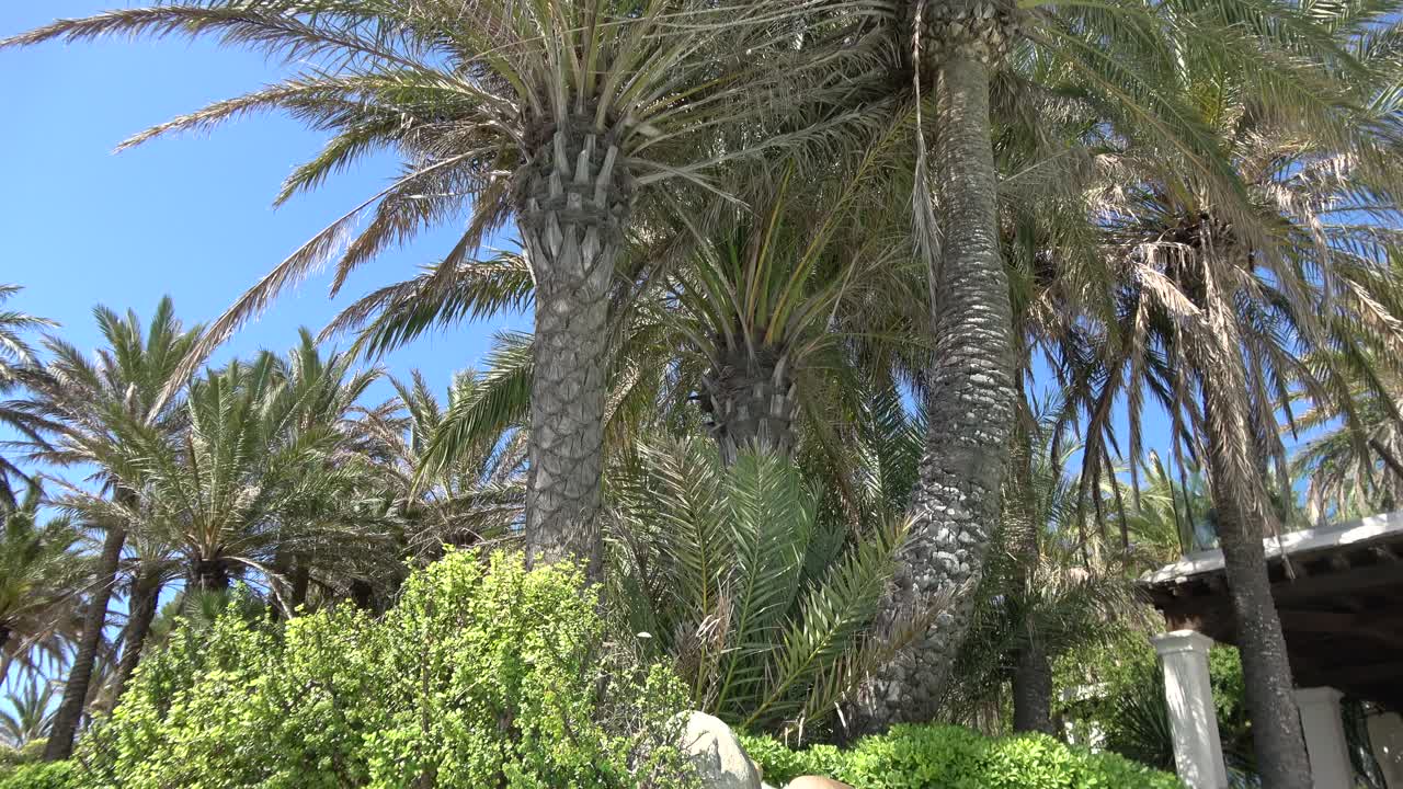 Natureza e paisagens na ilha de Ibiza.