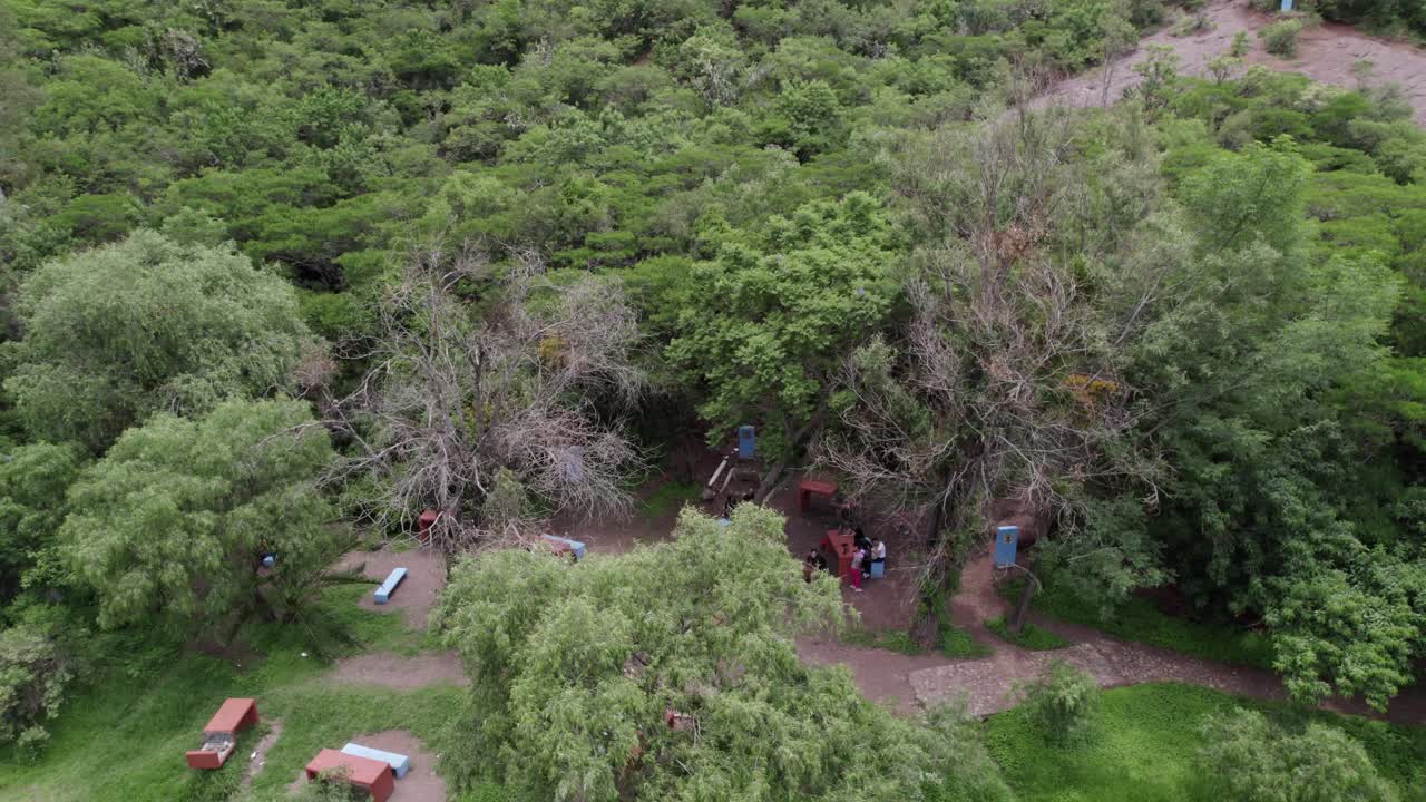 disparo aéreo en órbita de una familia en un pic nic