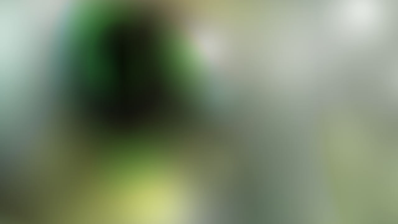 complejo de luz verde naranja fugas lente flare superposición efecto de pantalla prores422hq 60fps