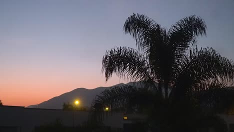 colourful sunset with dark blue sky disolving in red over la molina in lima, peru with palm tree shadow and mountains