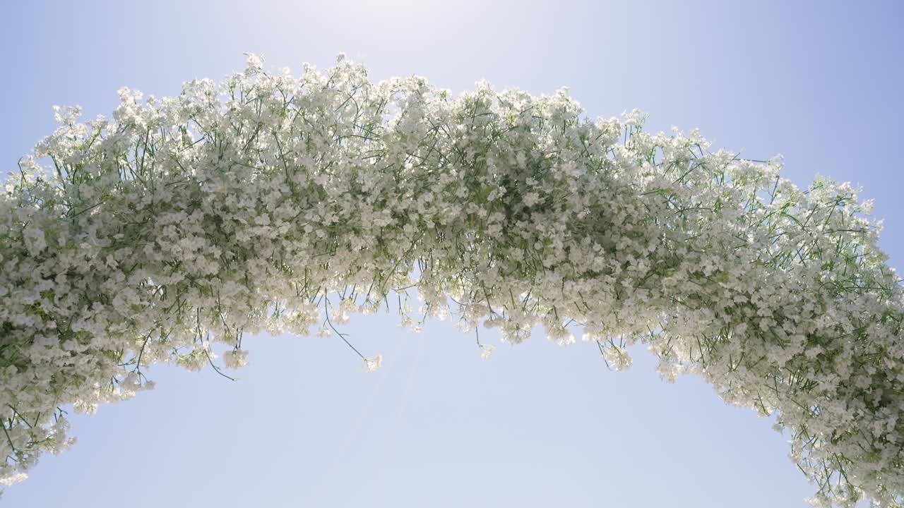 A stunning flower arch adorned with white blooms rises against a blue sky, creating a perfect backdrop for a wedding or outdoor celebration