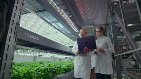 scientists in white coats with a laptop and a tablet on a vertical farm with hydroponics make research data on vegetables in the data center for the analysis and programming of watering plants.