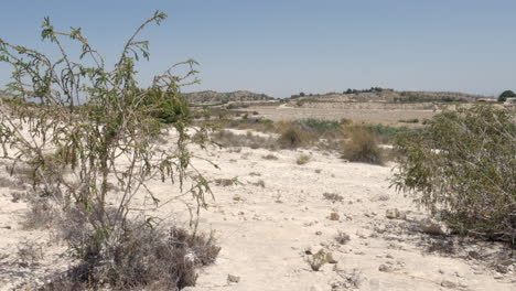 un paisaje desértico seco en españa