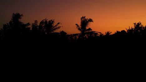 Schwarze-Silhouette-Von-Palmen-Windet-Sich-Mit-Orangefarbenem-Sonnenuntergang-Am-Horizont