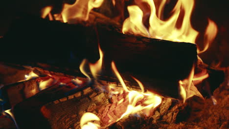 intense campfire flames at night