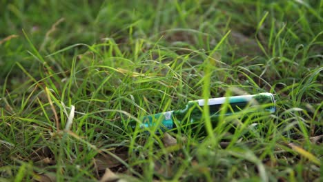 close up of an empty beer bottle being carelessly discarded onto the grass in a public park