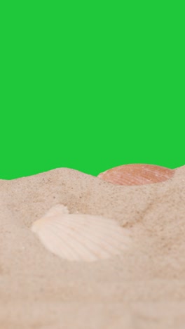 Vertical-Video-Summer-Holiday-Concept-Person-Collecting-Shells-Starfish-On-Sandy-Beach-Against-Green-Screen