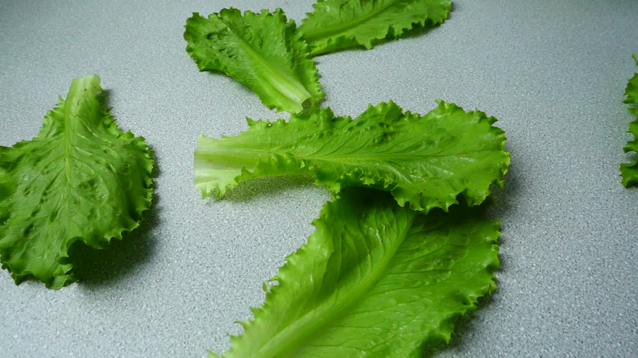 Foglie di lattuga che cadono su un tavolo da cucina. Rallentatore