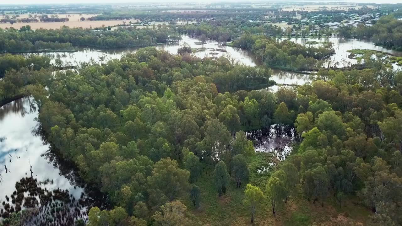 Aerial view of the Murray River upstream of Lake Mulwala, Australia. November 2021.
