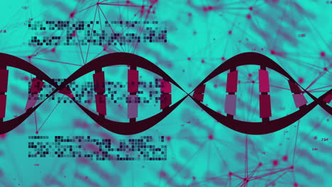 animation of network of connections and data processing over dna strand spinning