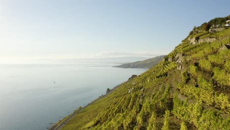 Luftaufnahme,-Die-Tief-über-Dem-Lavaux-Weinberg-Beginnt-Und-Dann-Aufsteigt---Herbstfarben-In-Der-Schweiz-Und-Abendlicht