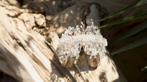 corona de novia de plata para la boda en un tronco de árbol