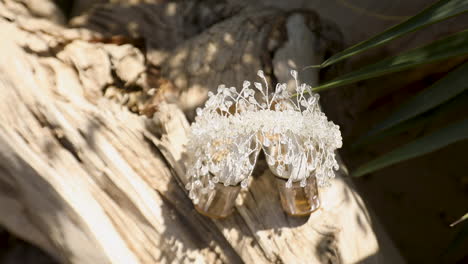 silver bridal crown for the wedding on a tree stump