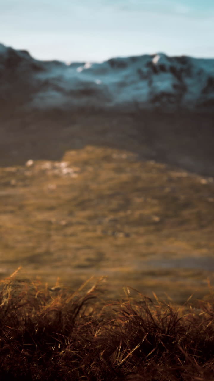 앞면 에 풀 이 있는 산악 풍경