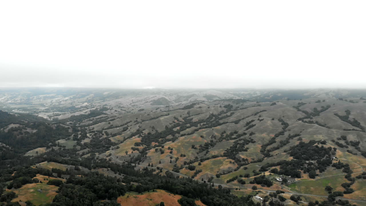 Redwood Forest Aerial Pan Left to Right 4k