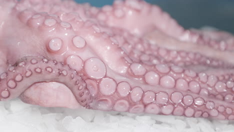 Macro-Shot-Of-Whole-Octopus-Legs-Or-Big-Tentacles-On-Ice---slow-motion,-sideways