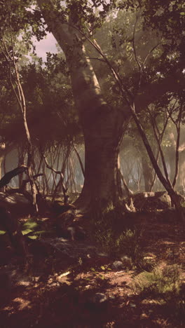 misty forest scene