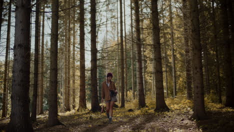 Young-woman-exploring-amidst-trees-in-forest