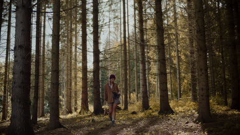 young woman exploring amidst trees in forest