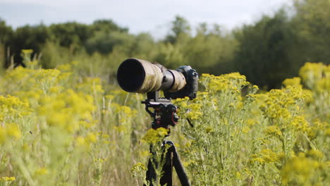 camera on tripod in countryside field for wildlife travel photography