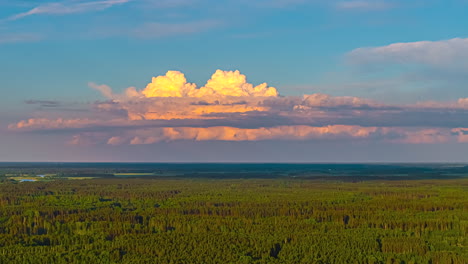 aerial view of dense forest and clouds moving in the sky. - timelapse shot