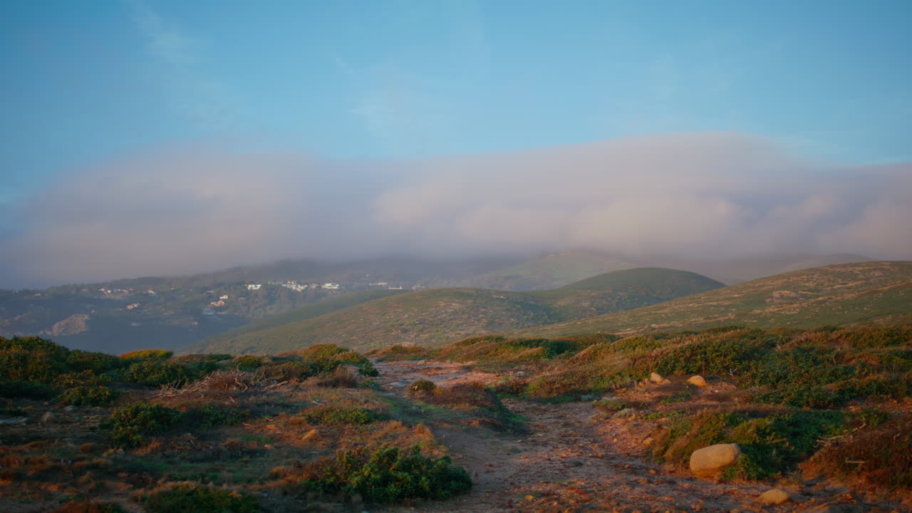 panorama de colinas verdes paisaje a la luz de la mañana. vista de avión no tripulado campo sereno