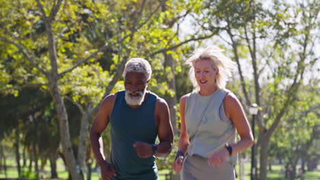senior couple jogging in the park