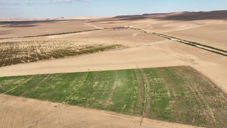 irrigated green field in a desert landscape