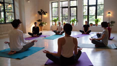 group yoga session in a studio