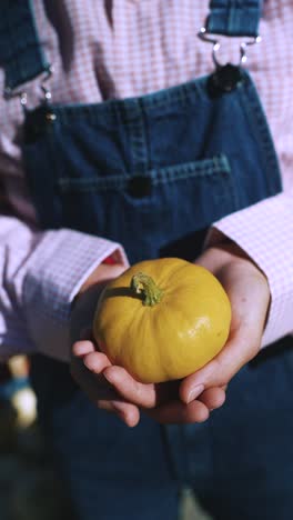 person holding a small yellow pumpkin