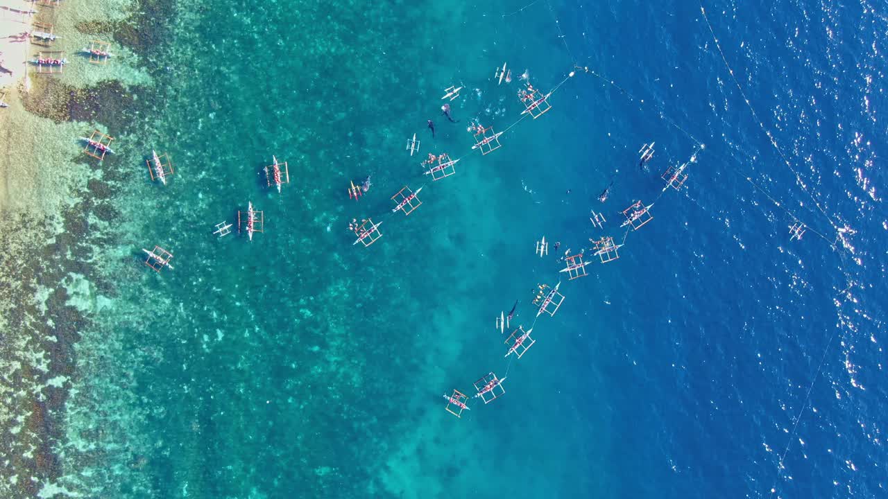 고래 상어 관찰의 하향식 보기에서 그림 같은 아름다운 zom