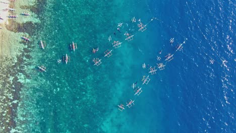 Picturesque-beautiful-zom-in-top-down-view-of-whale-shark-watching