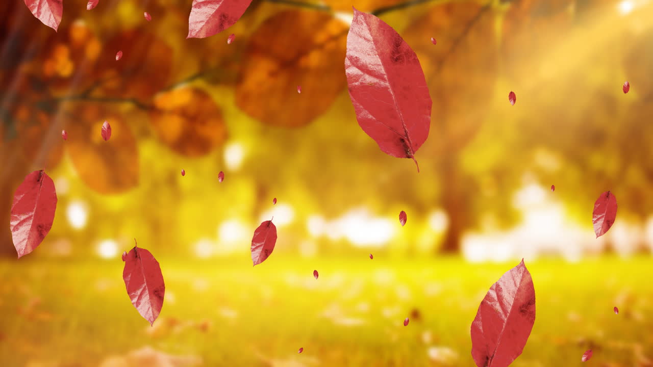 가을 풍경 에 떨어지는 잎 들 의 애니메이션