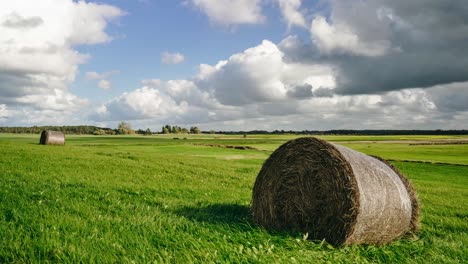 tag-timelapse auf der wiese mit sich bewegenden wolken