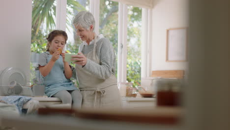 grandmother and child using smartphone having video chat little girl sharing vacation weekend showing cookie with granny enjoying chatting on mobile phone at home with granddaughter