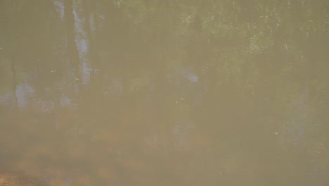 este es un corto video de un agua que fluye por una playa