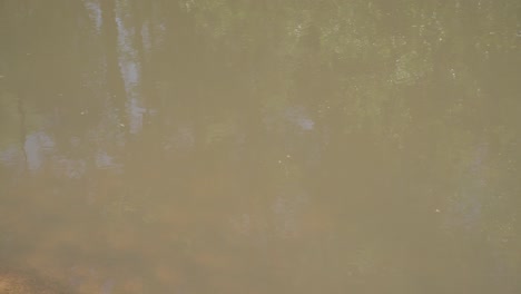 this is a short video of a water flowing past a beach