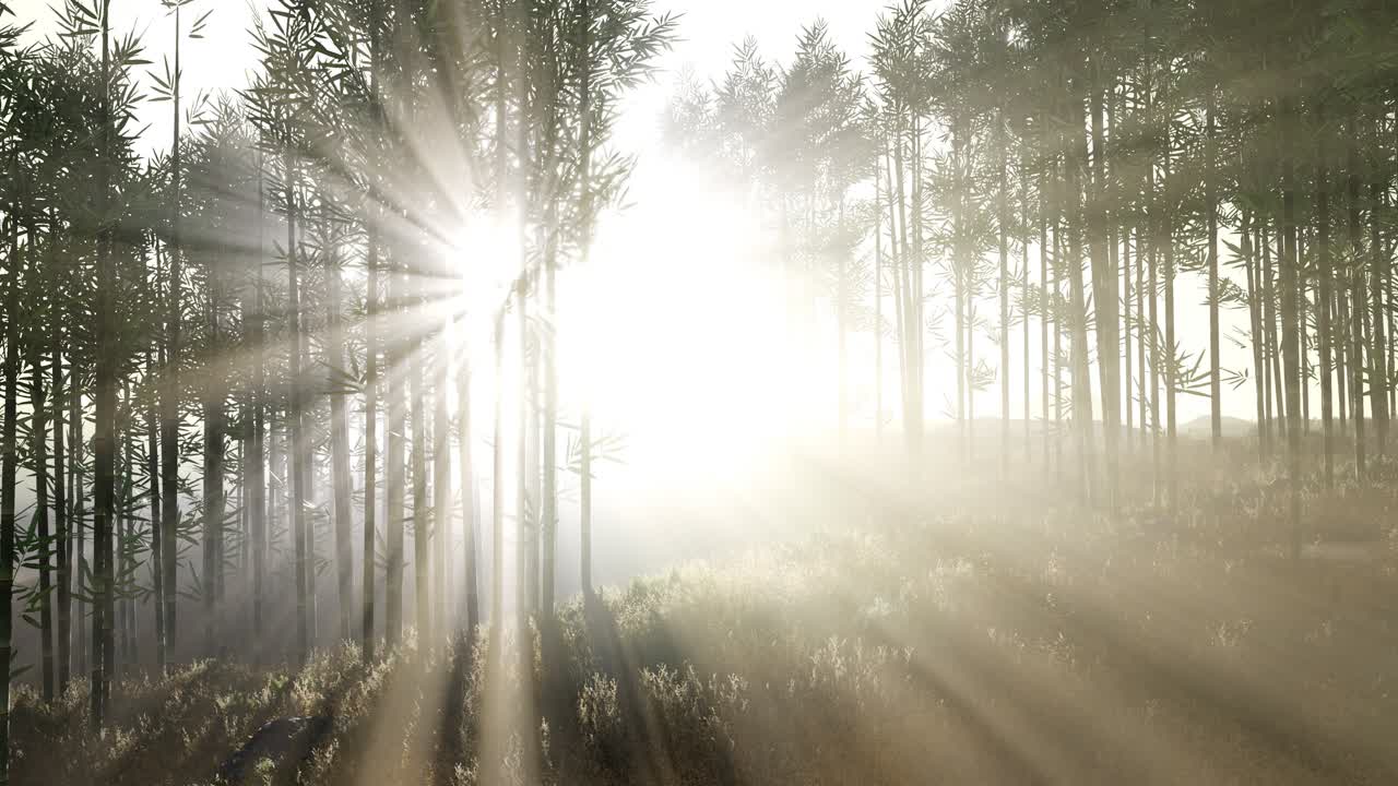 언덕 에 있는 초록색 대나무 숲