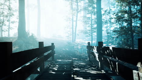 Puente-De-Madera-En-El-Bosque-Con-Río