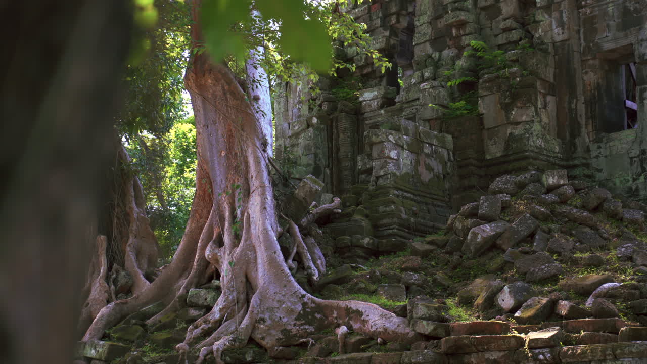Tree root entangled temple entrance in Angkor, showing collapse and nature reclaiming stone, establishing past foreground