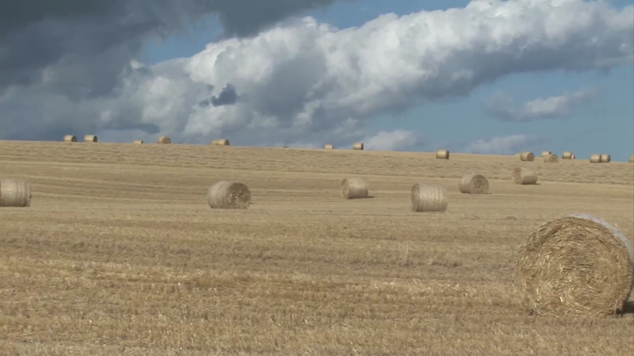 imágenes de stock un campo de balas de heno